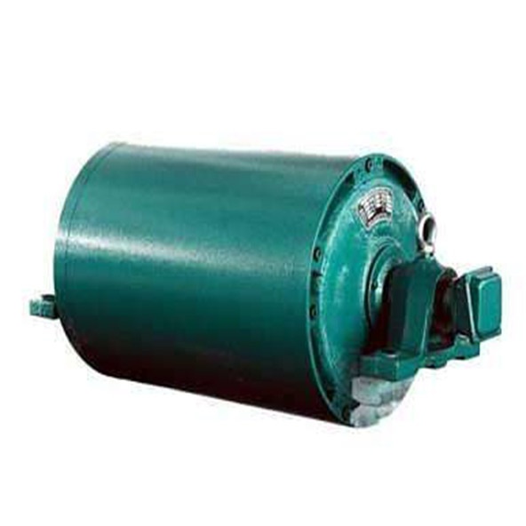 山东电动滚筒厂家